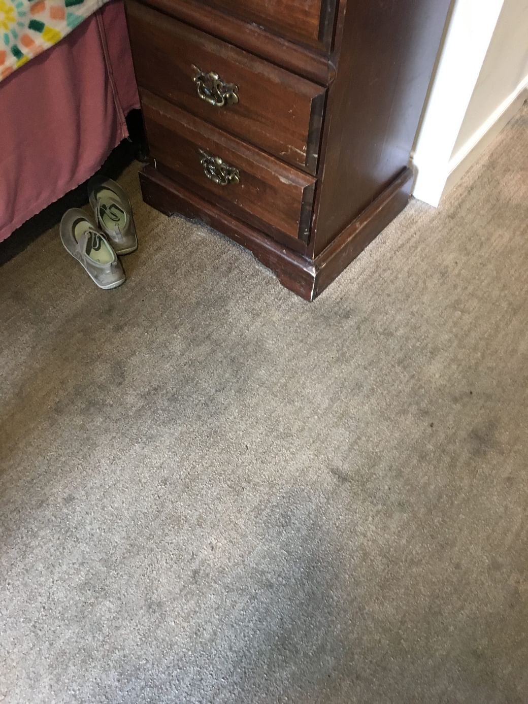 Pet Damage Carpet Repair Potomac Md Maryland Carpet Repair