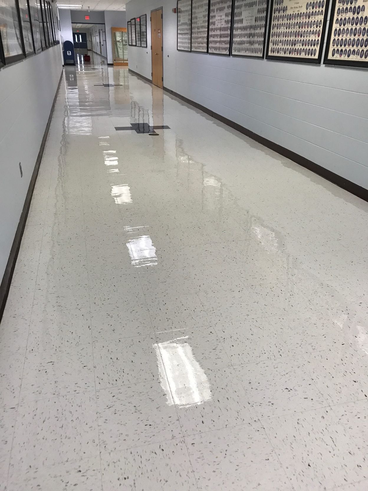 Eco Interior Maintenance Blog Carpet Stone Wood And Tile Cleaning